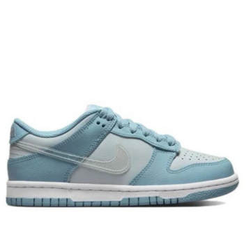 Nike Dunk Low Clear Swoosh Blue