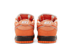 Concepts x Nike SB Dunk Low Orange Lobster Laranja